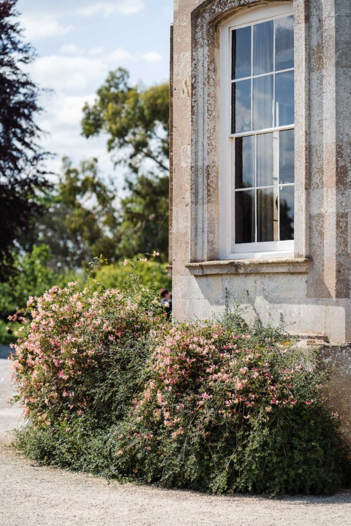 Elmore Court stone window and garden planting details in late afternoon light